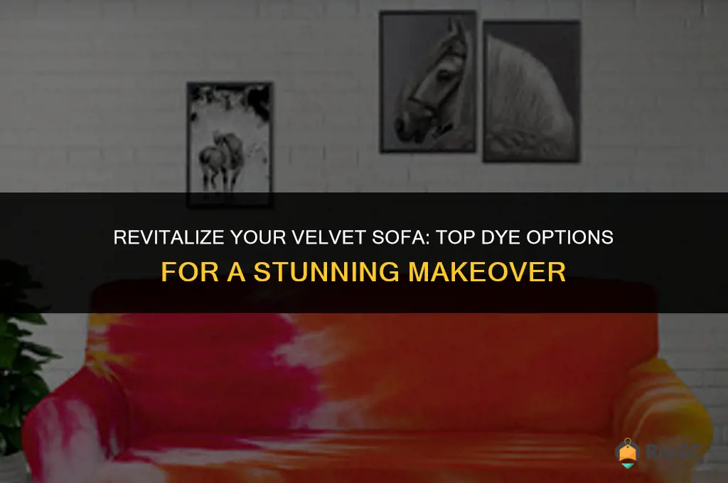 best dye for velvet sofa