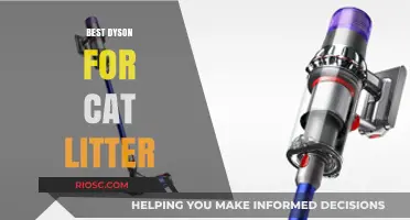 Top Dyson Vacuums for Effortless Cat Litter Cleanup: A Pet Owner's Guide