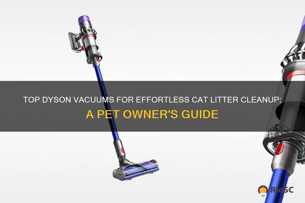 best dyson for cat litter
