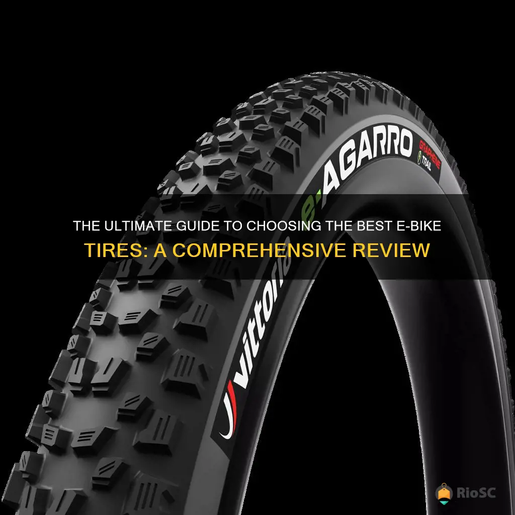 best e bike tires