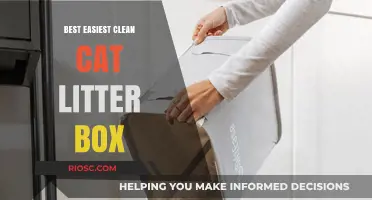 Effortless Cleaning: Discover the Best Easy-to-Clean Cat Litter Box Solutions