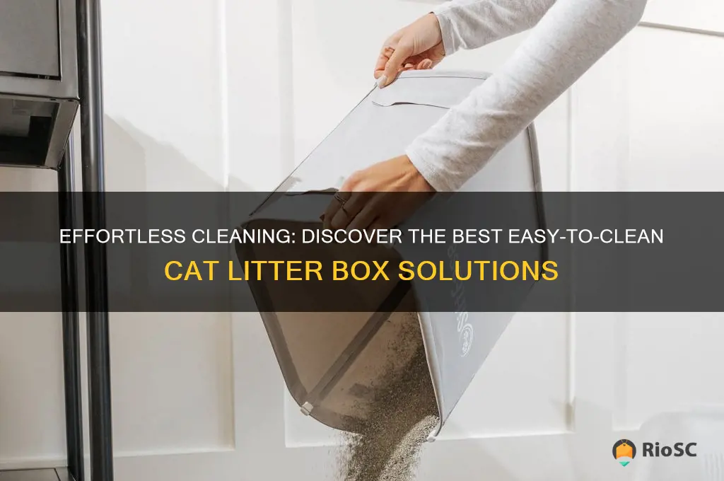 best easiest clean cat litter box