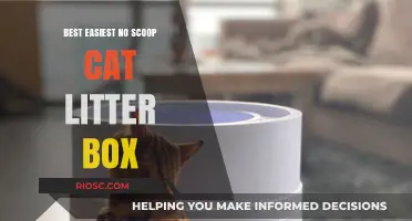 Revolutionary Hands-Free Solution: The Best Easiest No-Scoop Cat Litter Box for Busy Pet Owners