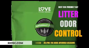 Eco-Friendly Cat Litter Solutions: Top Picks for Superior Odor Control