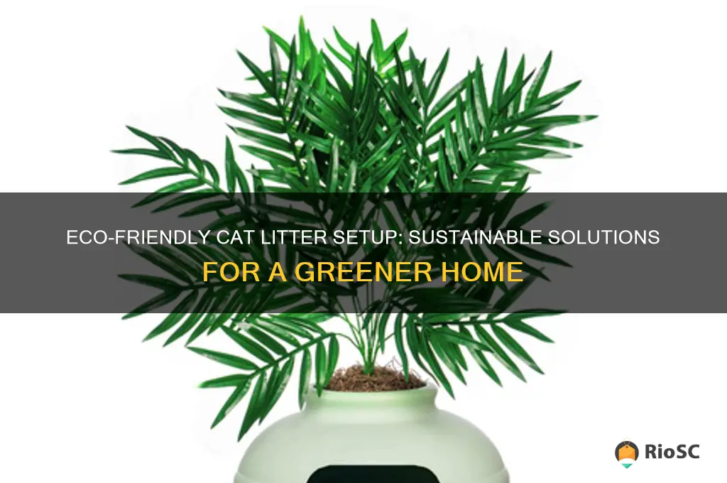 best eco friendly cat litter set up