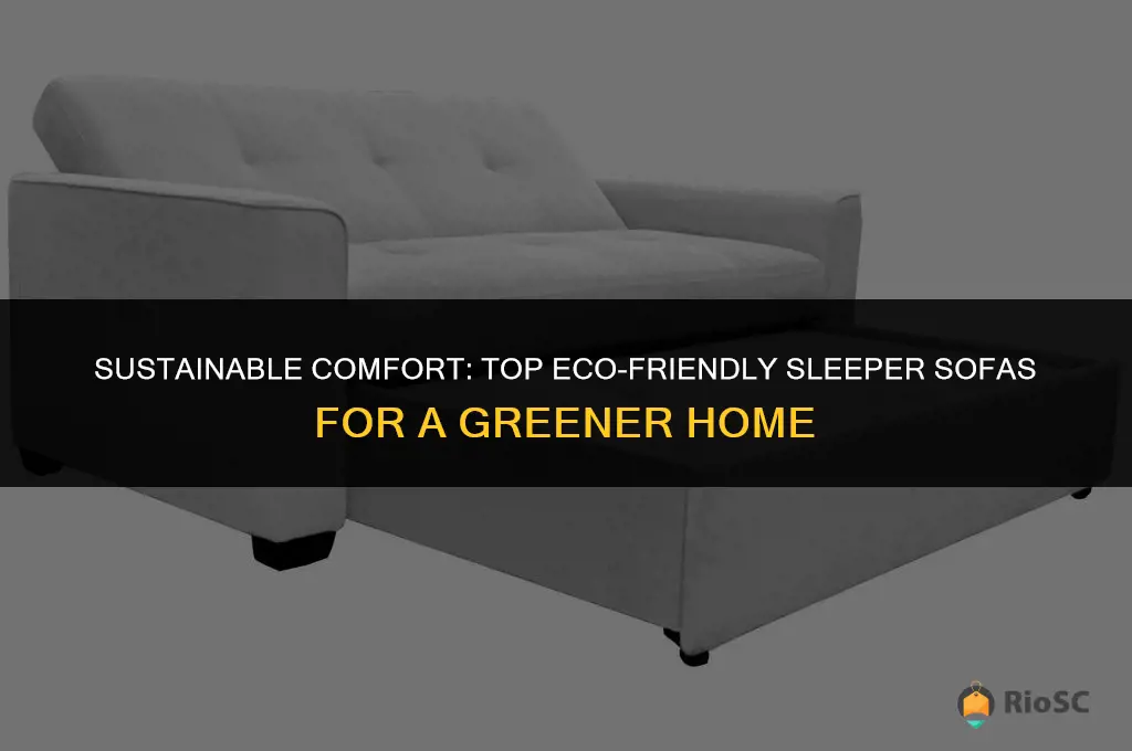 best eco friendly sleeper sofa
