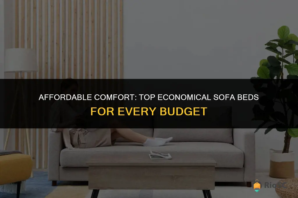best economical sofa beds
