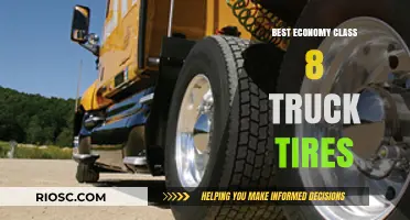 Top-Rated Economy Class 8 Truck Tires for Longevity and Performance