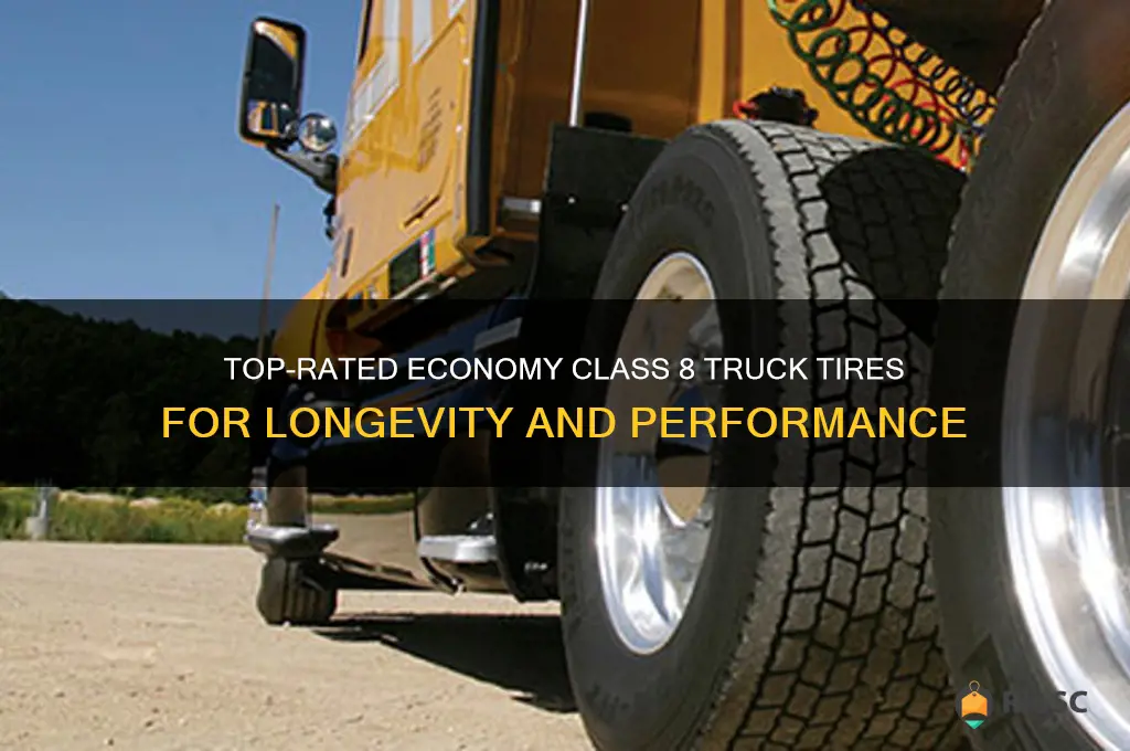 best economy class 8 truck tires