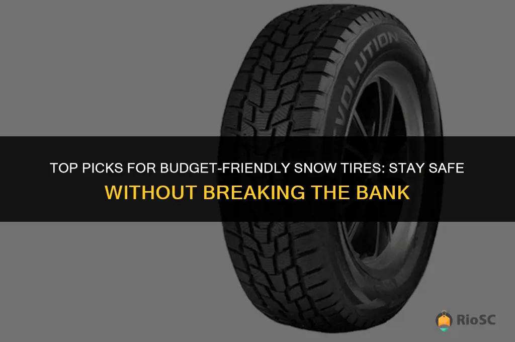 best economy snow tires
