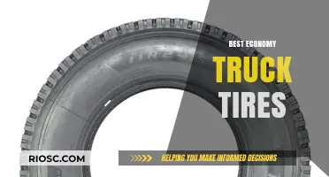 Top-Rated Economy Truck Tires: Maximizing Performance and Savings on the Road