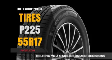 Top Picks for P225/55R17 Economy Winter Tires: Stay Safe and Save Money This Season