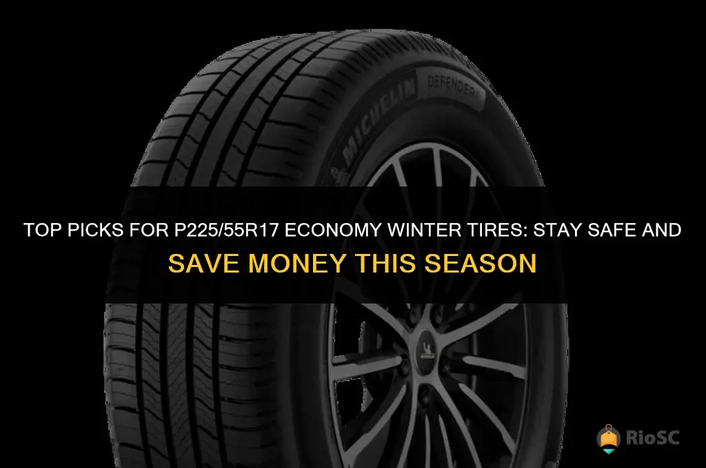 best economy winter tires p225 55r17