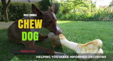 Top Picks for the Best Edible Chew Dogs Will Love and Owners Can Trust