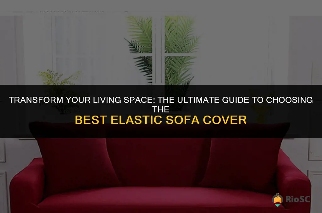 best elastic sofa cover