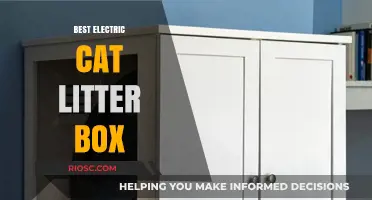 Revolutionize Your Cat Care: Discover the Best Electric Cat Litter Box for Effortless Maintenance