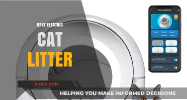 Top Electric Cat Litter Options for a Cleaner, Smarter Home