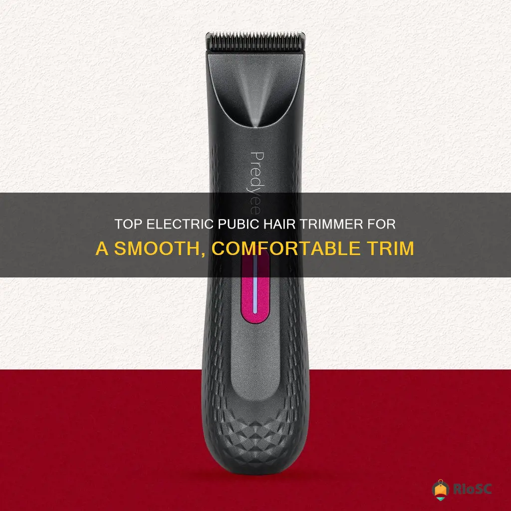 best electric pubic hair trimmer for ladies