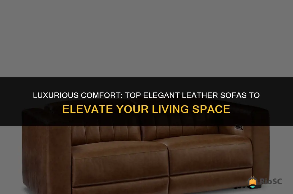 best elegant leather sofas