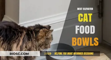 Elevate Your Feline's Dining Experience: The Ultimate Guide to the Best Cat Food Bowls