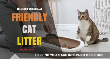 Eco-Friendly Feline Care: Top Environmentally Friendly Cat Litter Options for a Greener Home