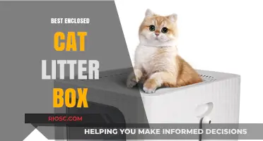 Top Enclosed Cat Litter Boxes: Stylish, Odor-Free, and Mess-Proof Solutions for Happy Cats and Clean Homes