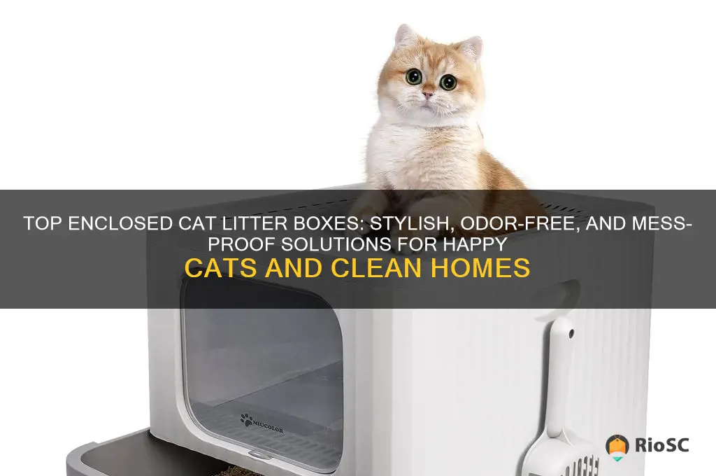 best enclosed cat litter box