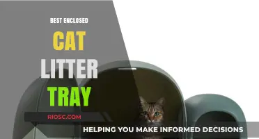 Top Enclosed Cat Litter Trays: Stylish, Odor-Free, and Mess-Proof Solutions for Happy Cats