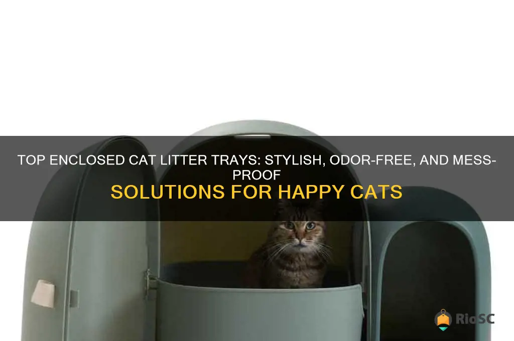 best enclosed cat litter tray