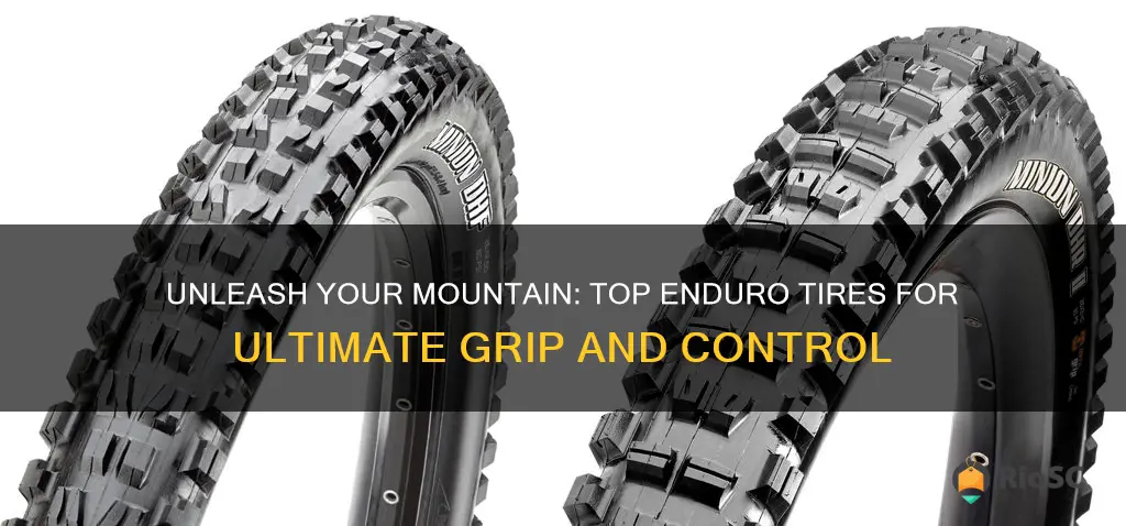 best enduro mountain bike tires