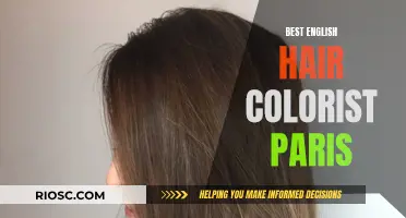 Mastering the Art of Color: Paris' English Hair Colorist Extraordinaire