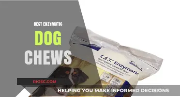 Top Enzymatic Dog Chews for Fresh Breath and Healthy Teeth: A Comprehensive Guide