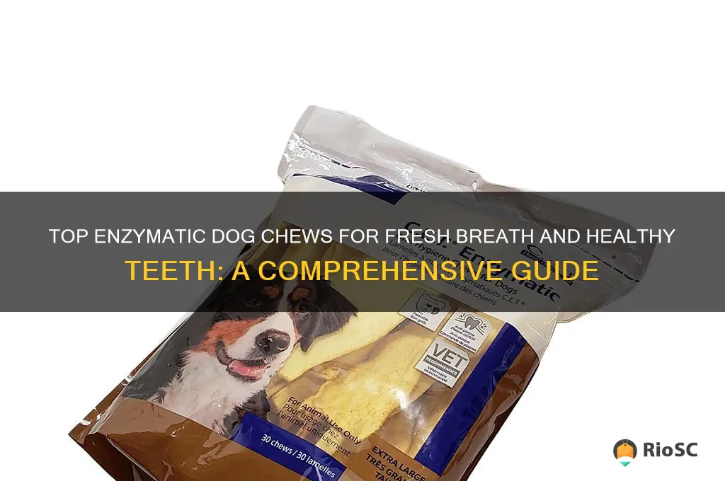best enzymatic dog chews