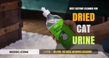 Reviving Freshness: The Ultimate Enzyme Cleaner Guide for Stubborn Dried Cat Urine Stains
