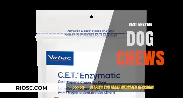 Top Enzyme Dog Chews for Optimal Digestion and Dental Health
