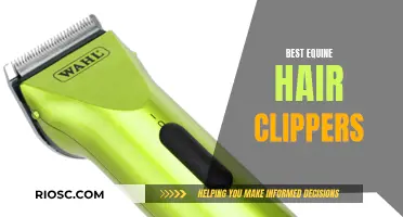 Equine Grooming: The Ultimate Guide to Choosing the Best Hair Clippers