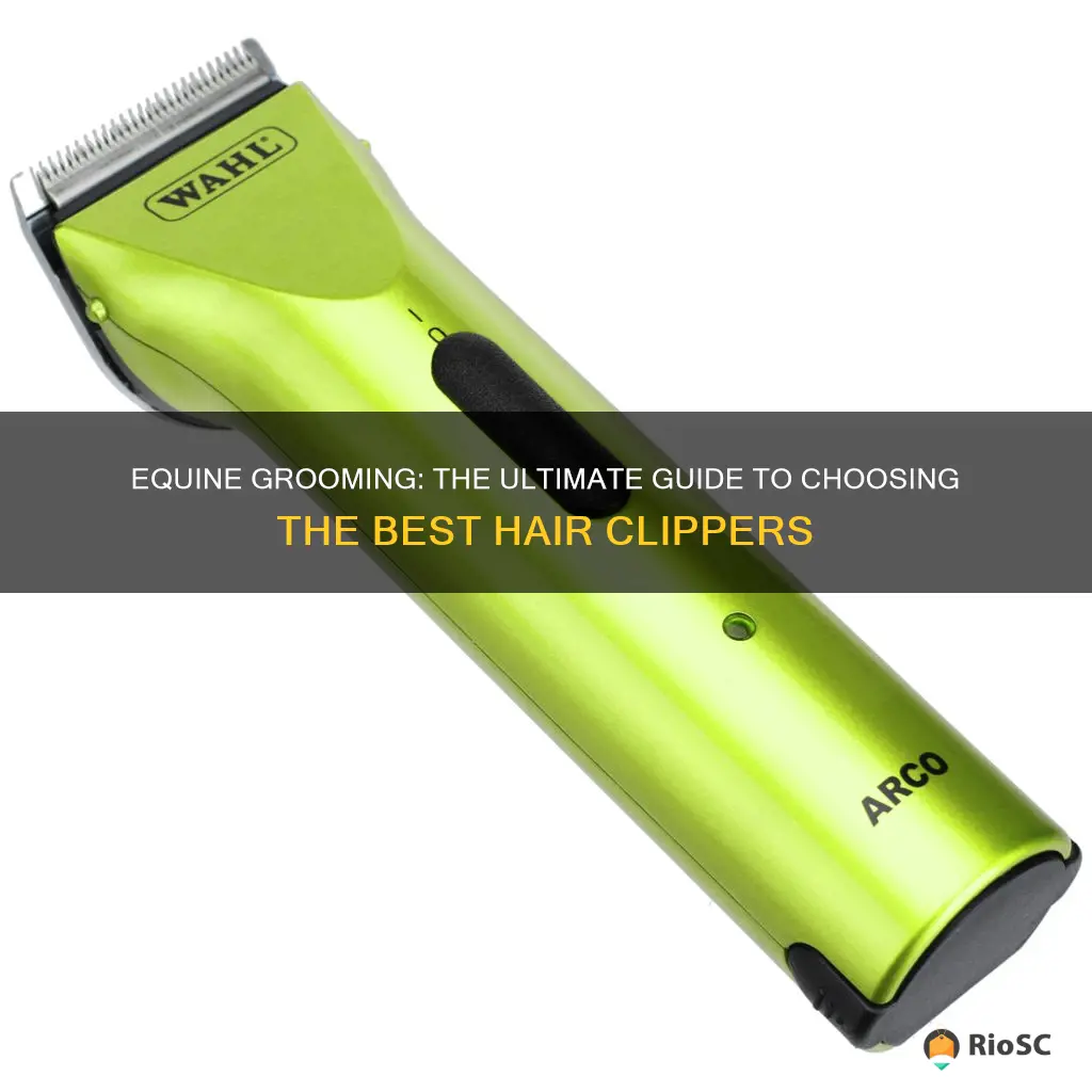 best equine hair clippers