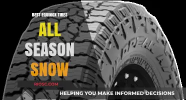 Top-Rated Equinox Tires for All-Season Performance in Snowy Conditions