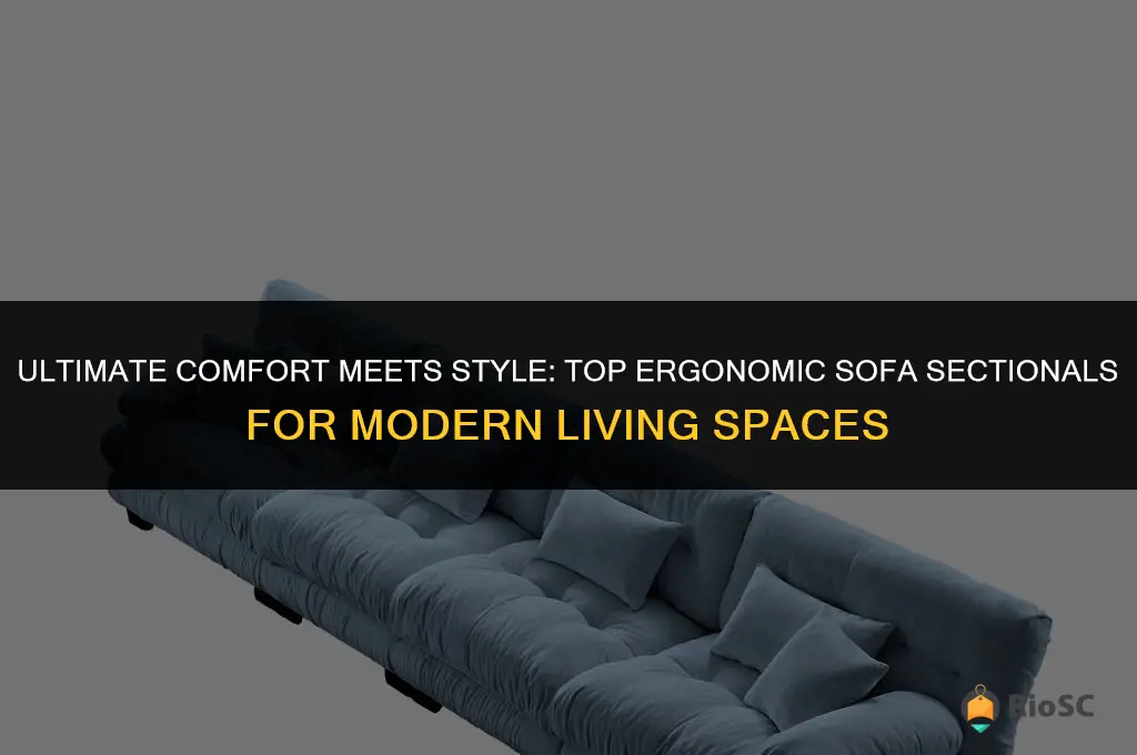 best ergomomic sofa sectionals
