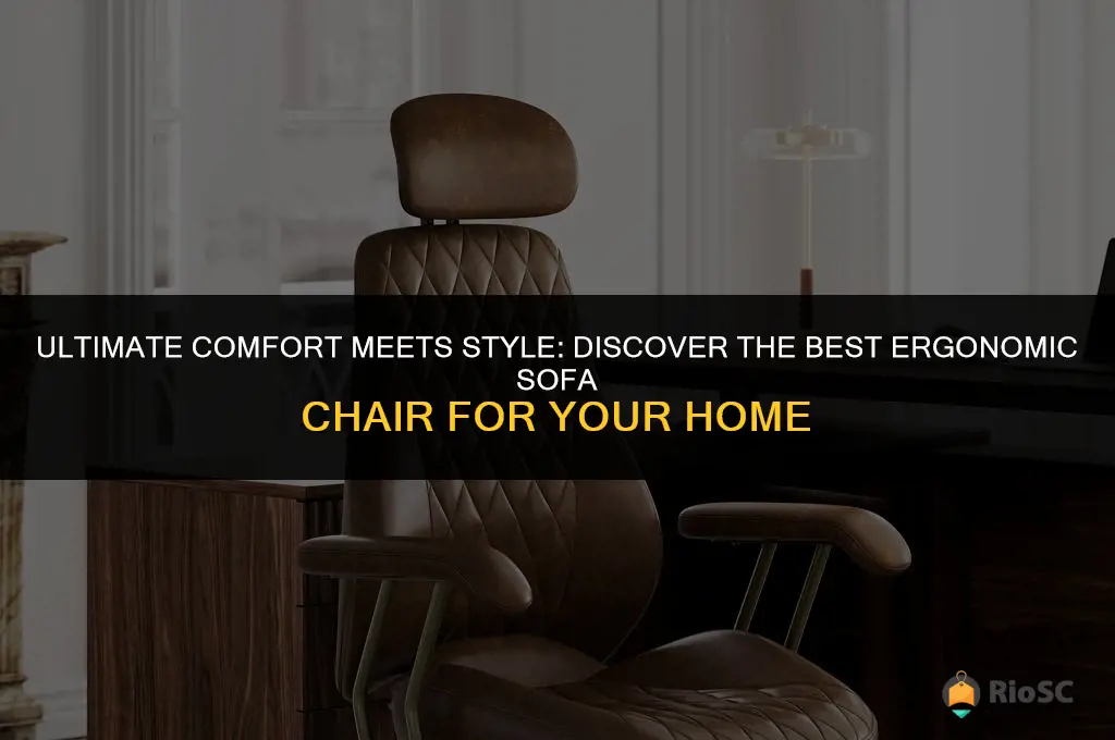 best ergonomic sofa chair