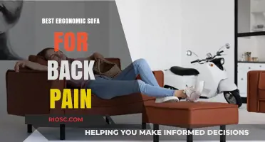 Ergonomic Sofa Solutions: Top Picks to Alleviate Back Pain and Enhance Comfort