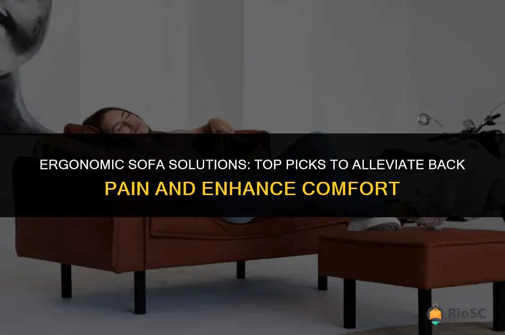 best ergonomic sofa for back pain