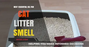 Freshen Up Your Cat’s Litter Box: The Best Essential Oils to Eliminate Unpleasant Odors