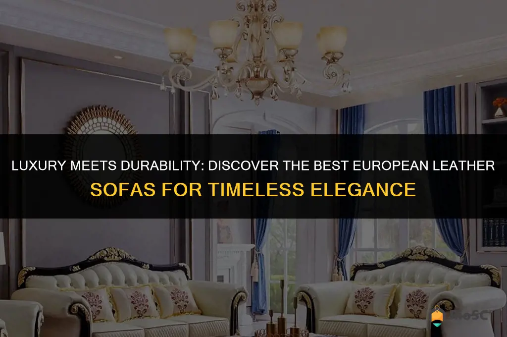 best european leather sofa