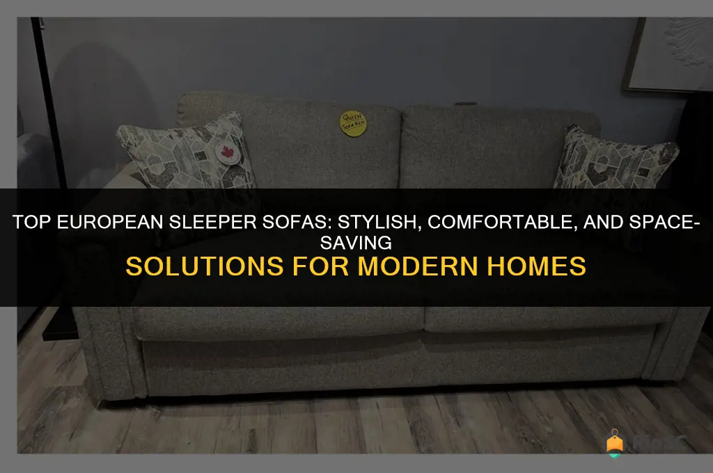 best european sleeper sofa