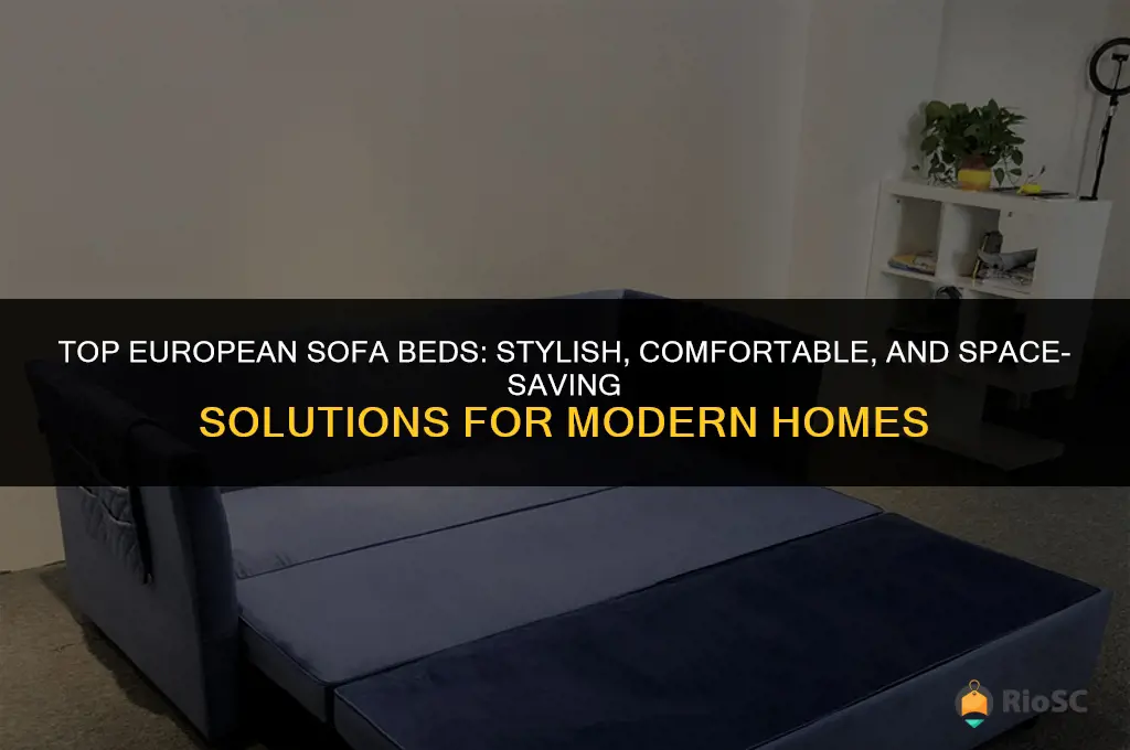 best european sofa beds