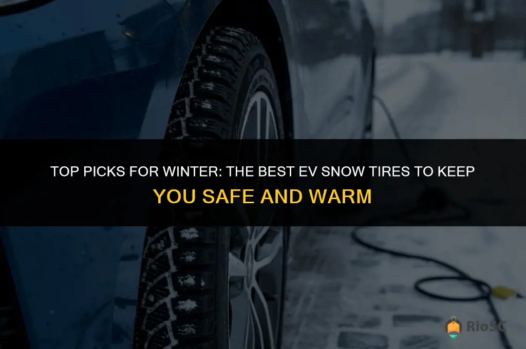 best ev snow tires
