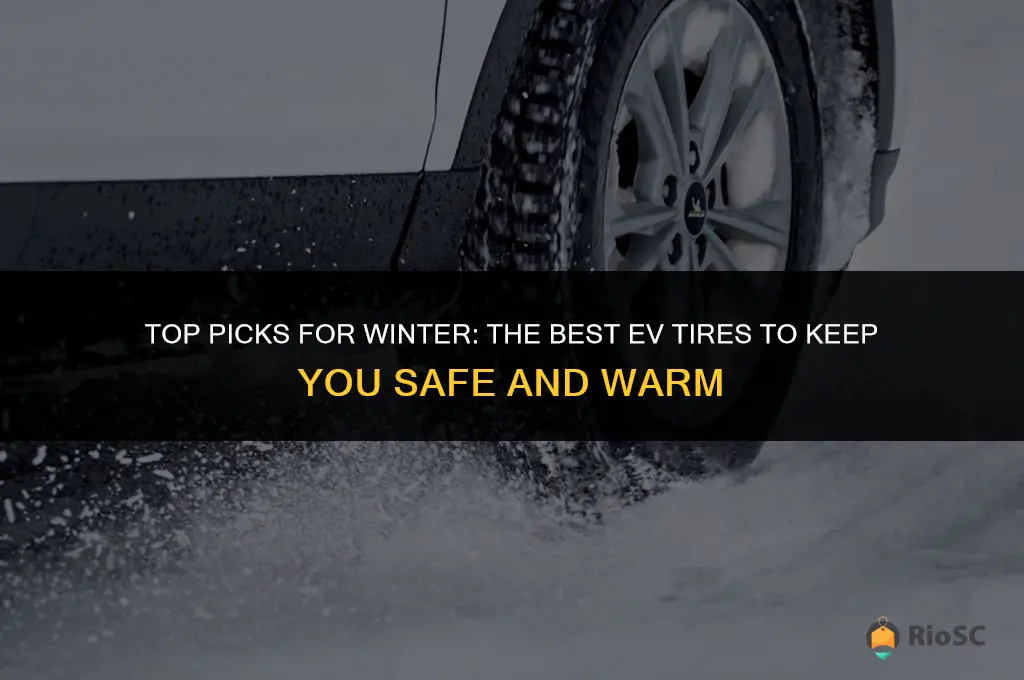 best ev winter tires
