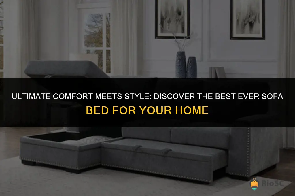 best ever sofa bed