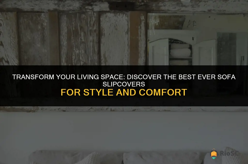 best ever sofa slipcovers